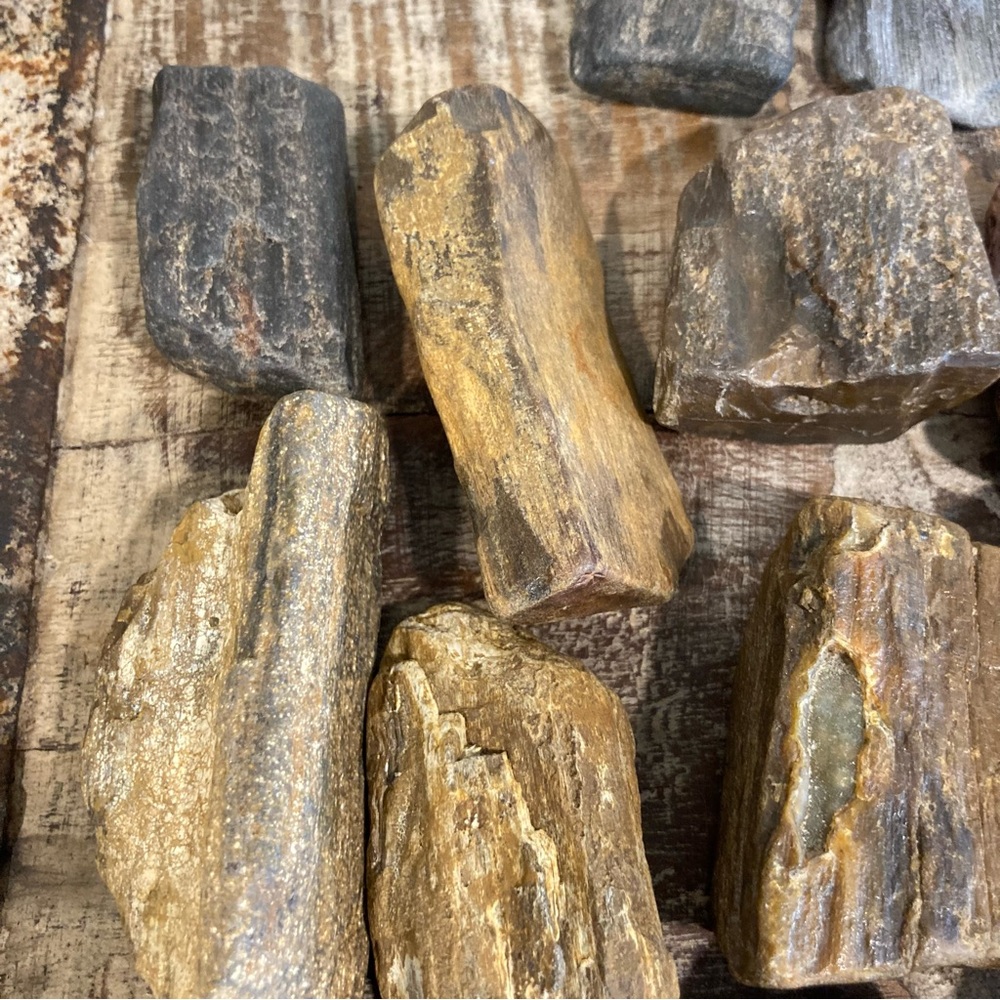 17pcs Petrified Wood 🪵 Rock Collection - Picture 8 of 17